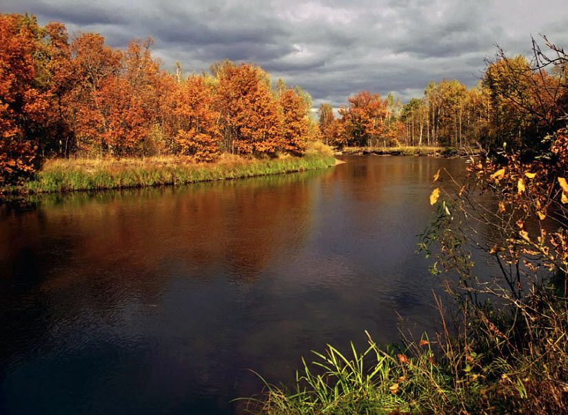 Окский заповедник
