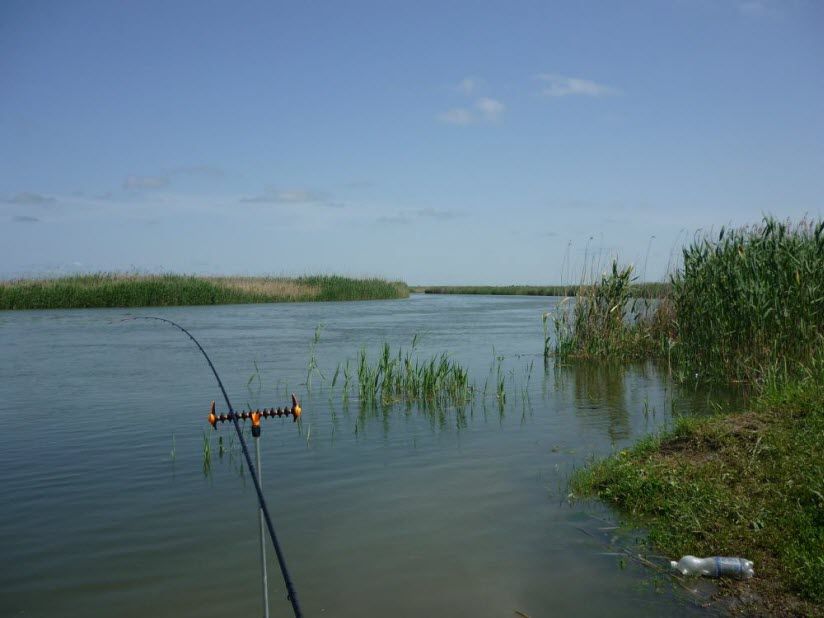 Река Маныч