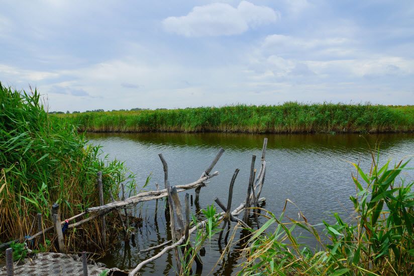 Озеро Пеленкино