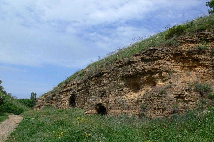 Мухина балка