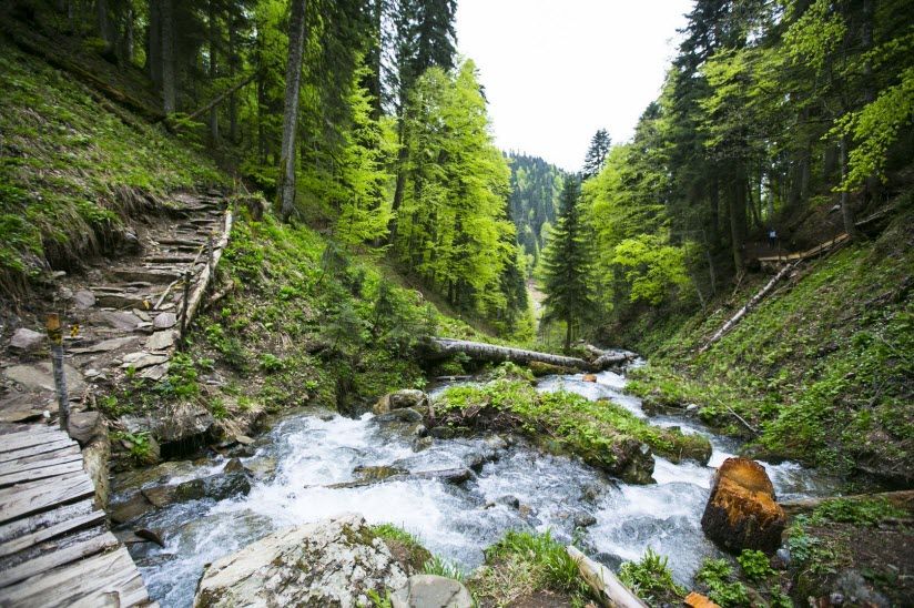 фото водопадов парка