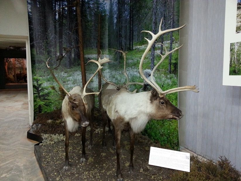 Краеведческий музей