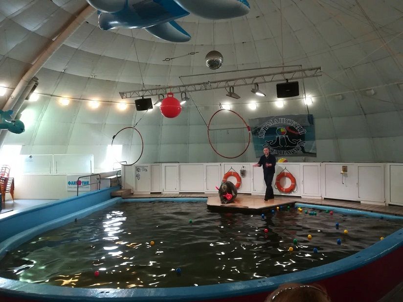 Мурманский океанариум