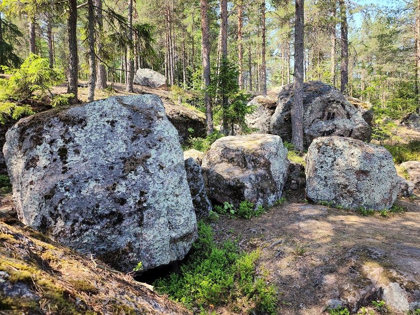 Пейзажный парк «Монрепо»