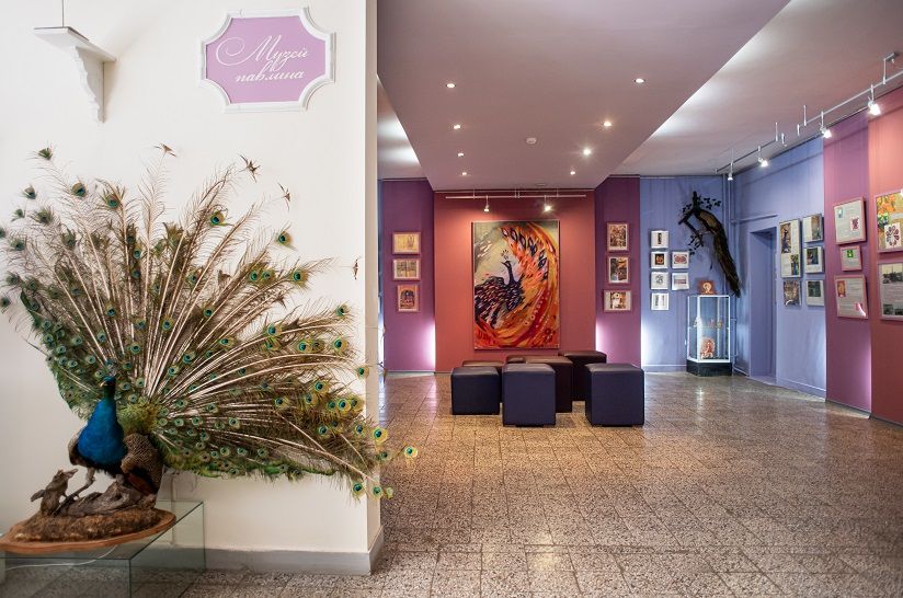 Музей павлина