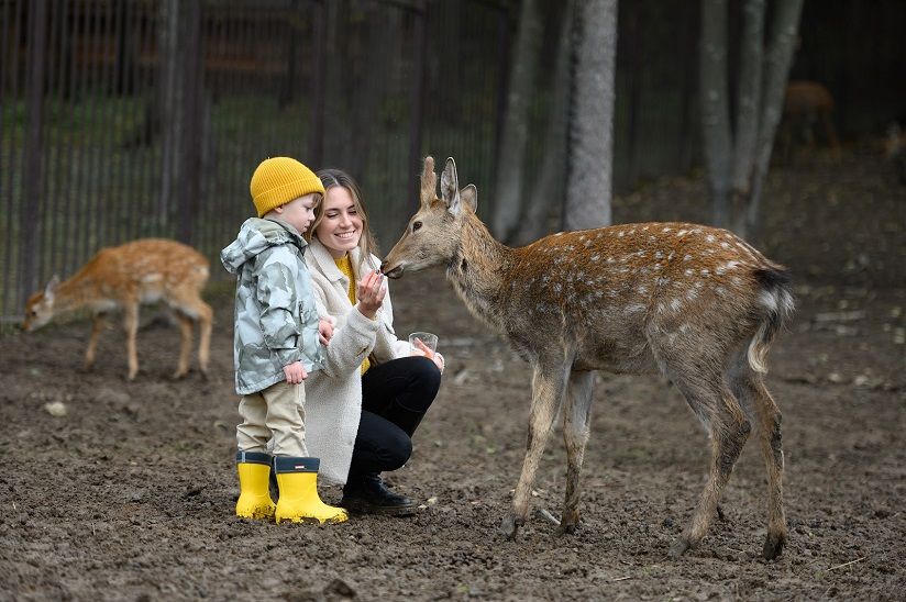 Семейный клуб «Бунин ручей»
