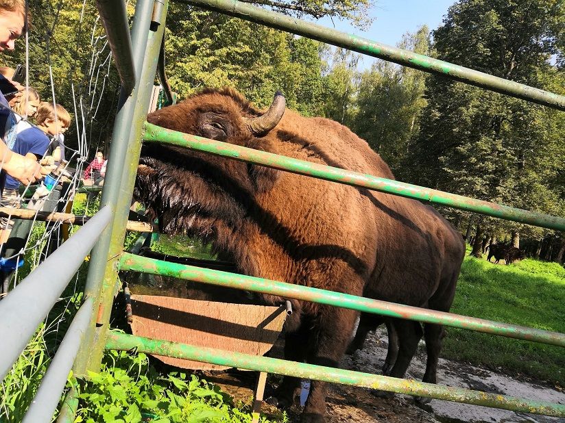 Приокско-Террасный биосферный заповедник с зубровником