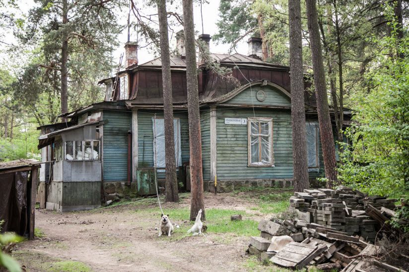 Дача Дворжецкого