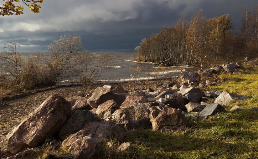 фото парка Дубки