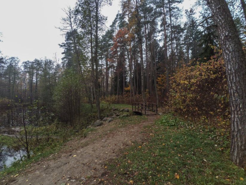 Комаровский берег