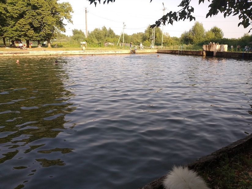 Городской бассейн (водоем)