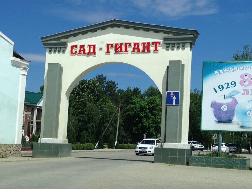 Музей истории хозяйства «Сад-гигант»