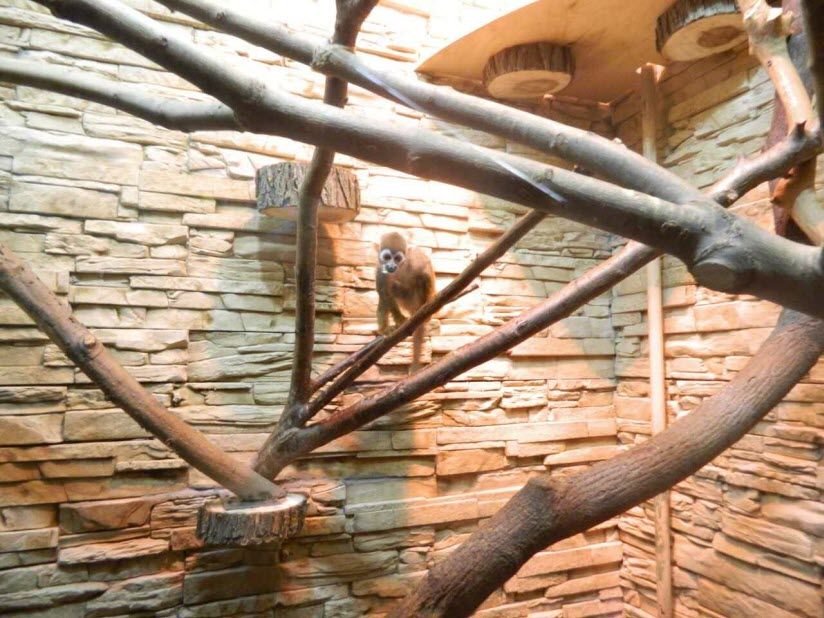 Смоленский зоопарк