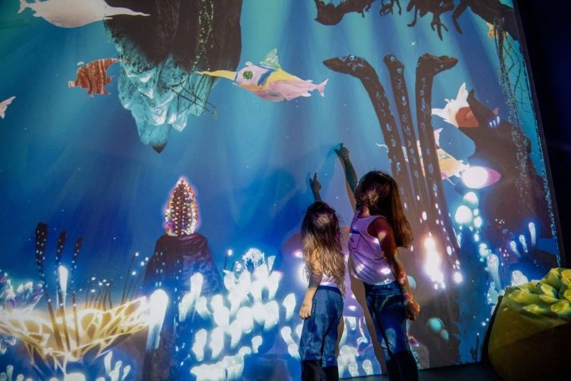 Интерактивный парк «WowLand»