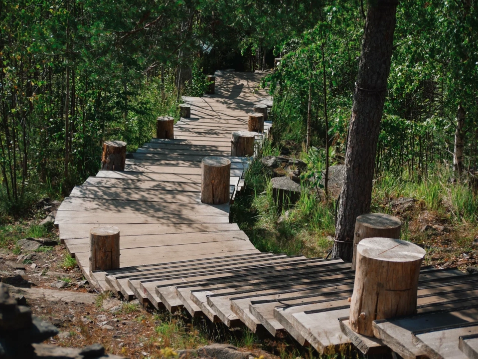 Городище Паасо