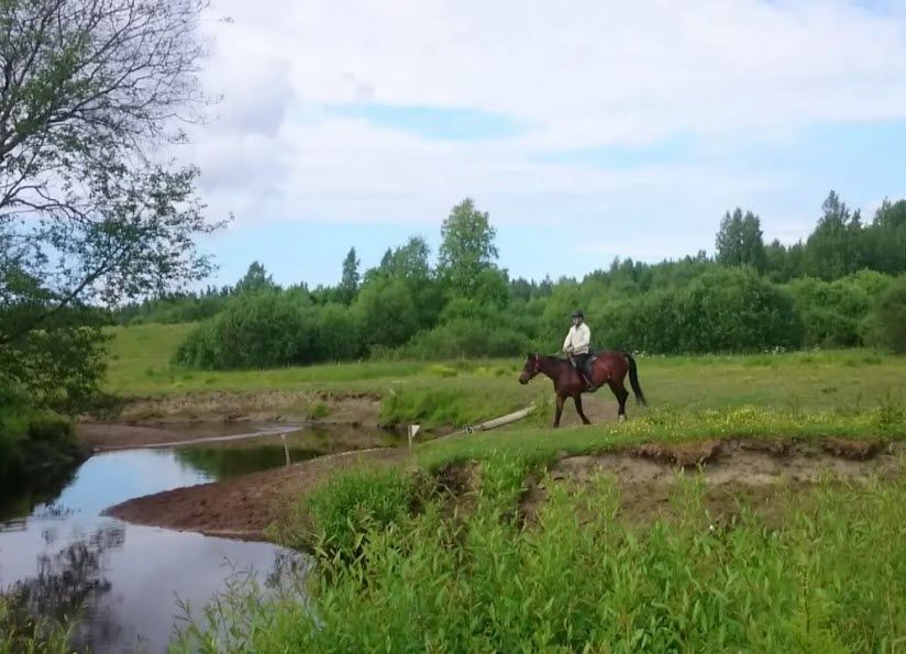 Ранчо «Элевация»
