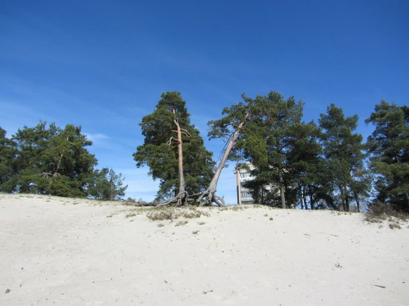 Парк Белые пески