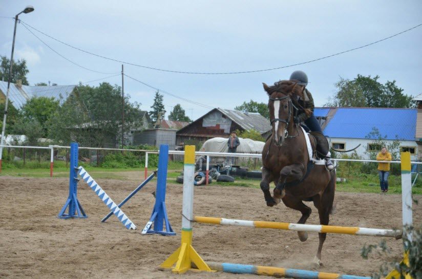 Конный клуб «Кентавр»