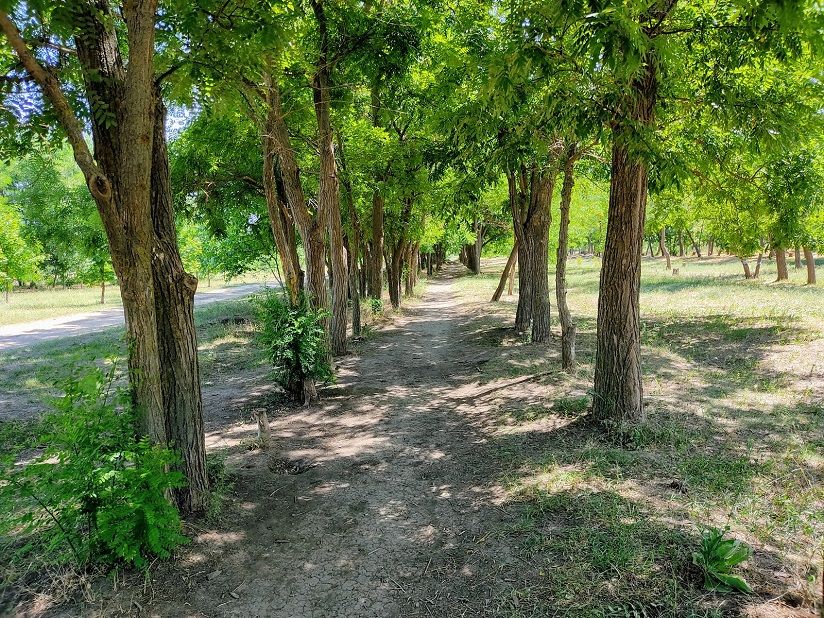 Парк 300-летия Таганрога