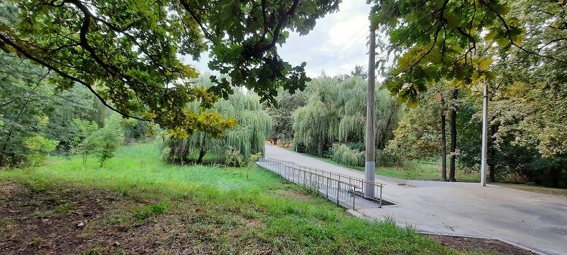 Роща «Дубки»