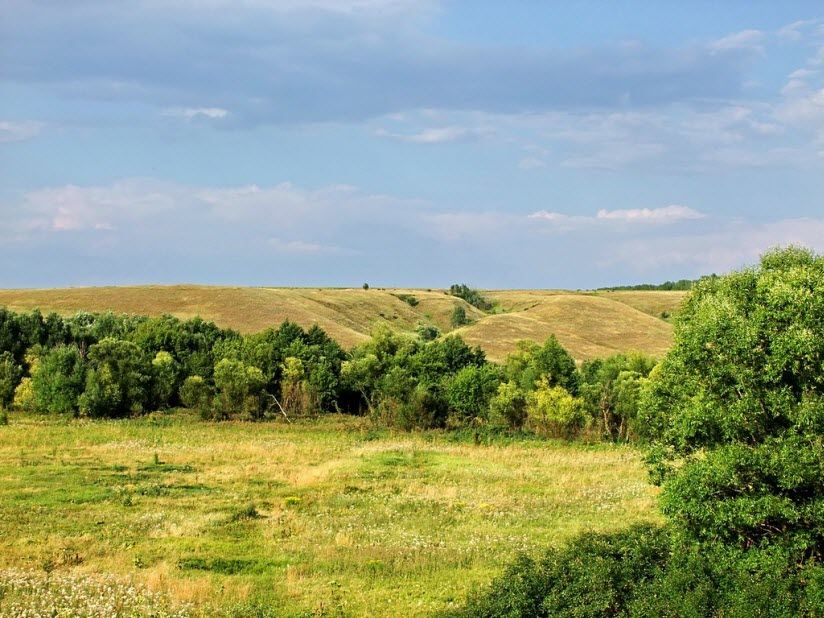 Лысая гора