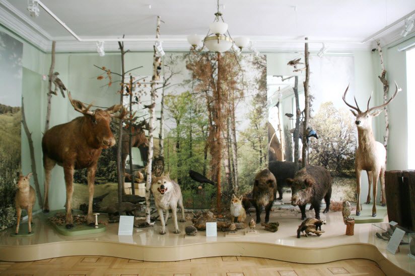 Тамбовский областной краеведческий музей