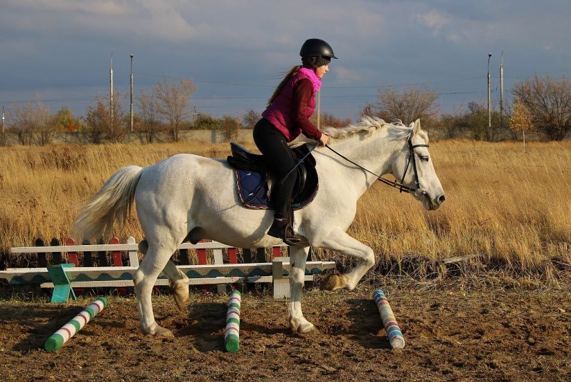 Конный клуб «Саксония»