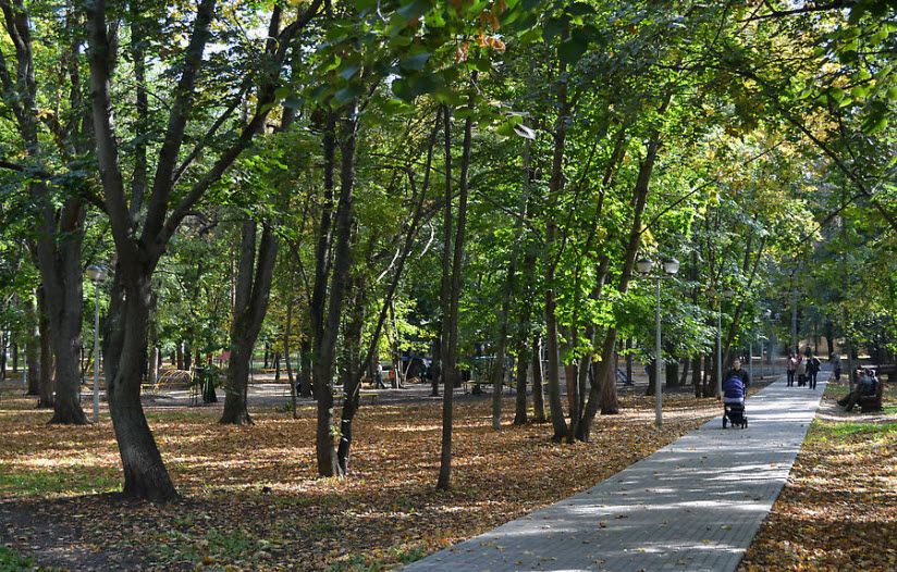 Пионерский парк, или Комсин сад