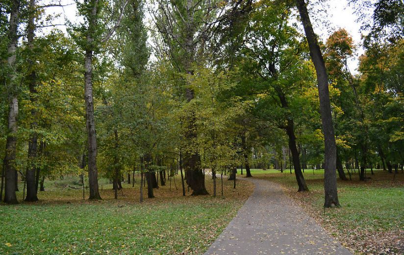 Ахлебиновская роща (Ахлябиновская)