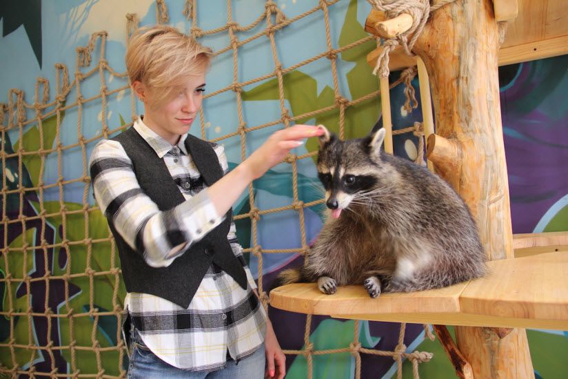 Контактный зоопарк «Изба енота»