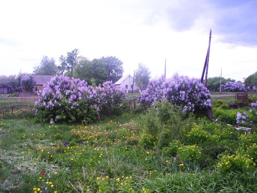Польновский заказник