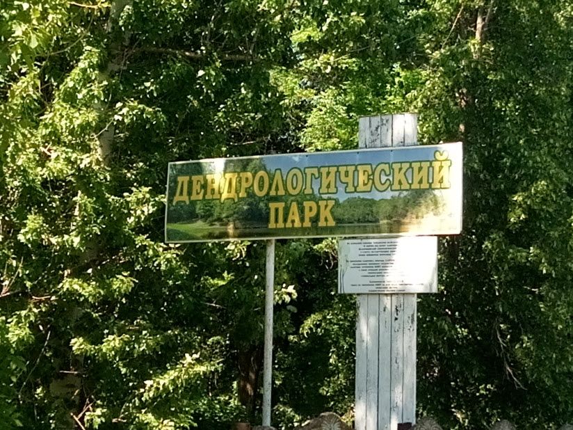 Екатерининский дендрологический парк