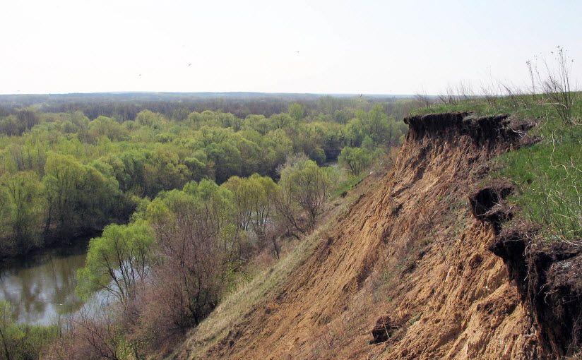 Нижневоронинский заказник