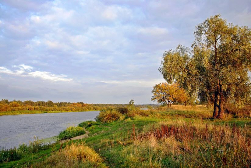 Дубрава «Большая Матыра»
