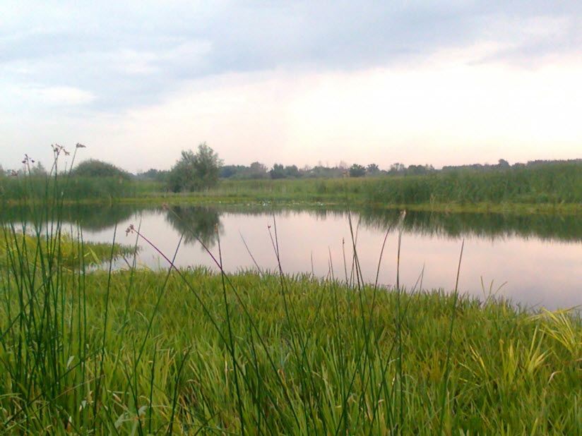 Озеро Ильмень