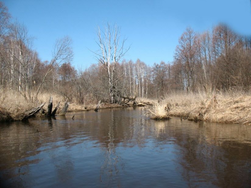 Хмелино-Кершинский заказник