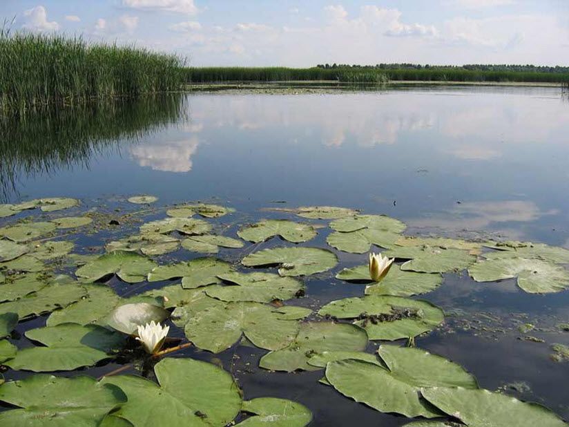 Озеро Рамза