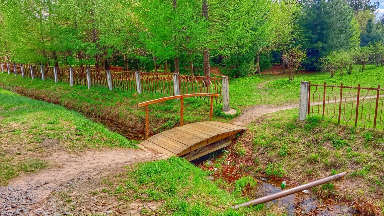 Природный парк «Кедровая роща»