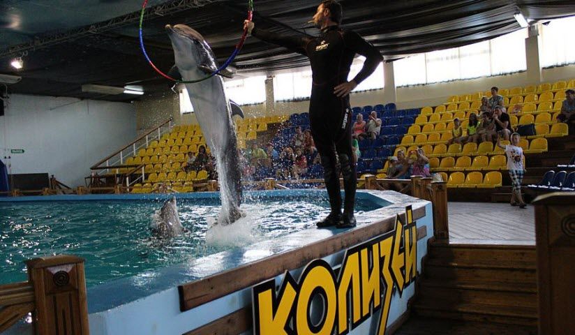 Дельфинарий «Колизей»