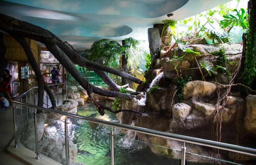 Океанариум-экзотариум «Тропическая Амазонка»