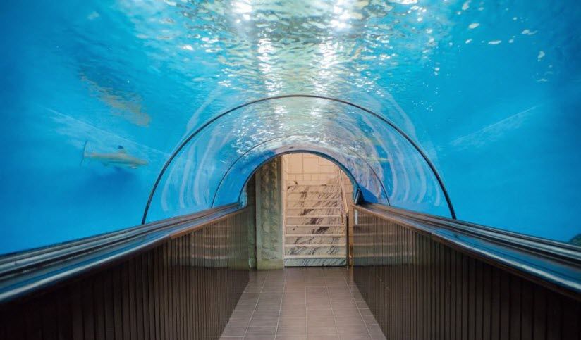 Океанариум в «Дельфин-центре»