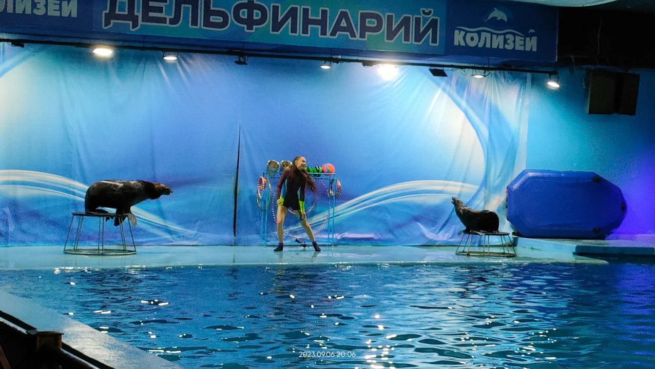 Дельфинарий «Колизей»