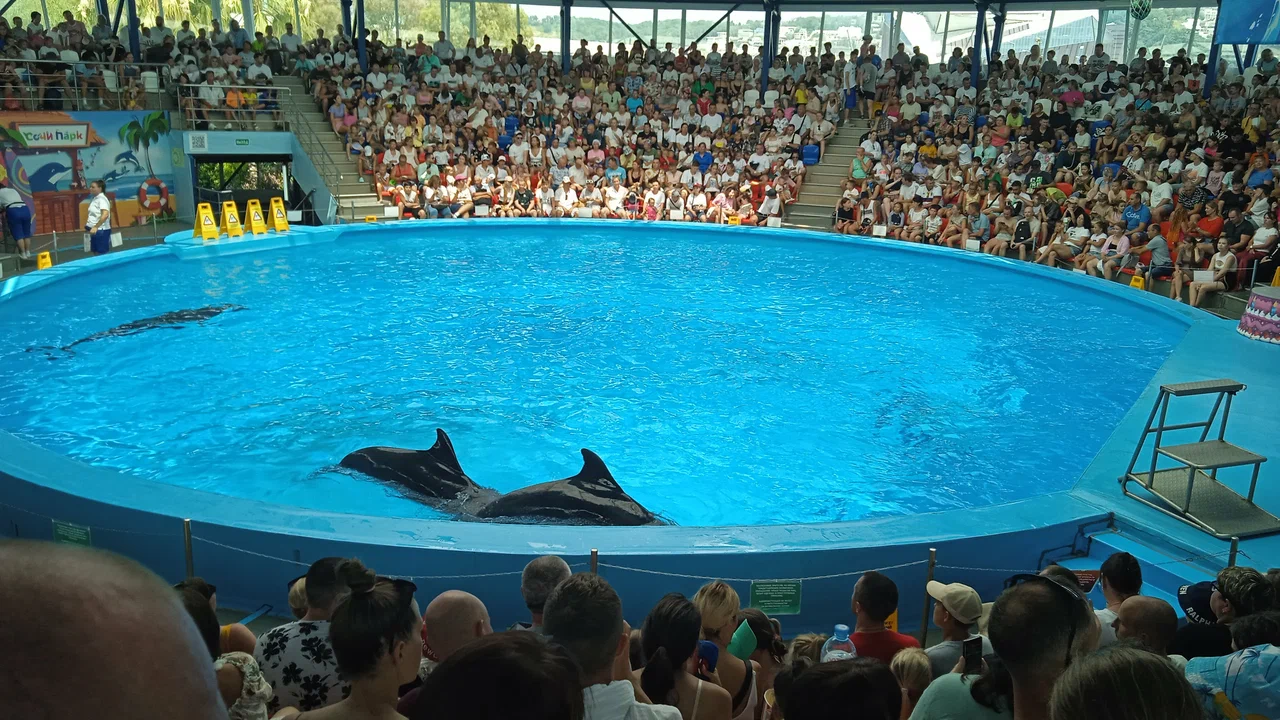 бассейн дельфинария