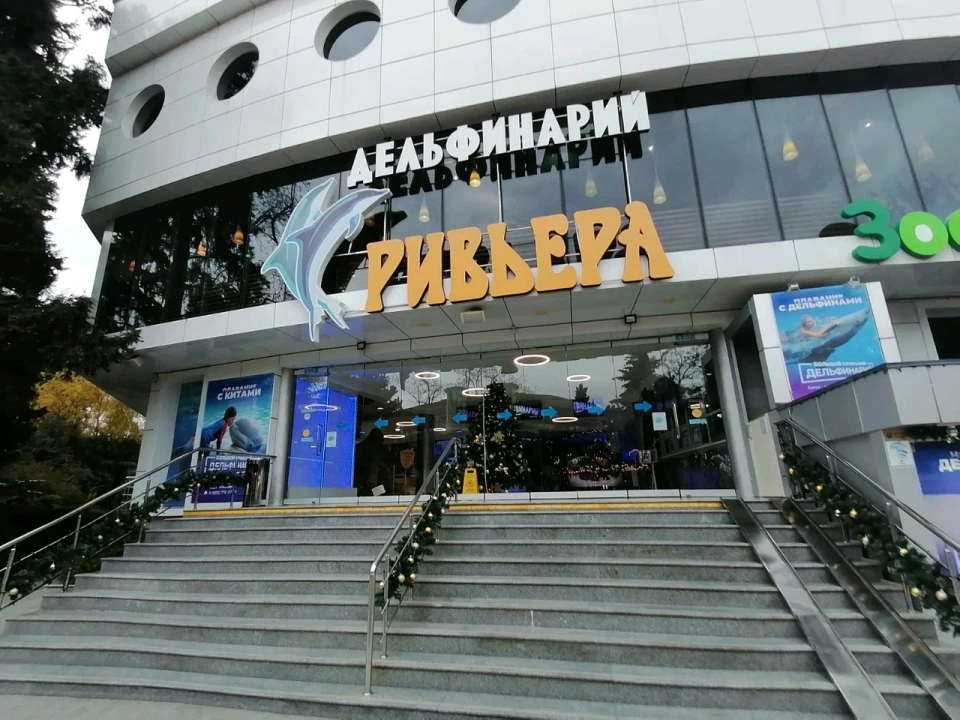 Большой Сочинский дельфинарий