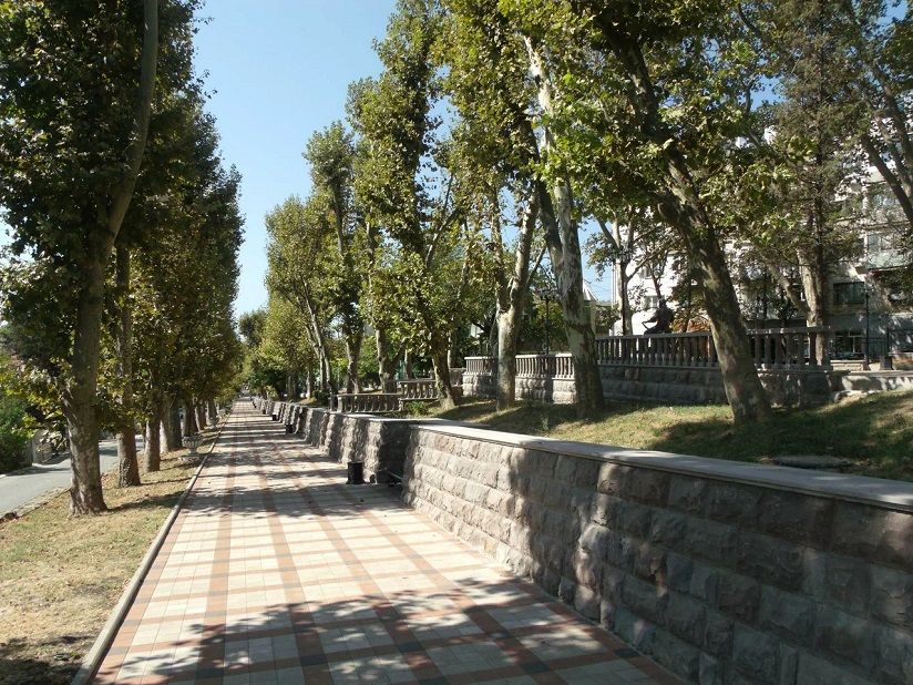 Платановая аллея