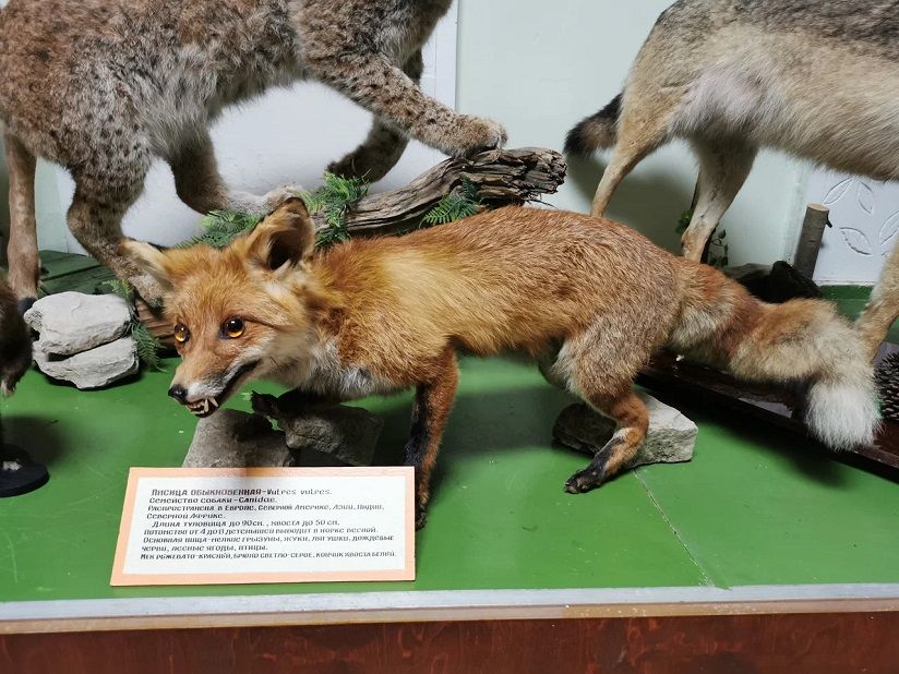 Краеведческий музей им. Полетаева
