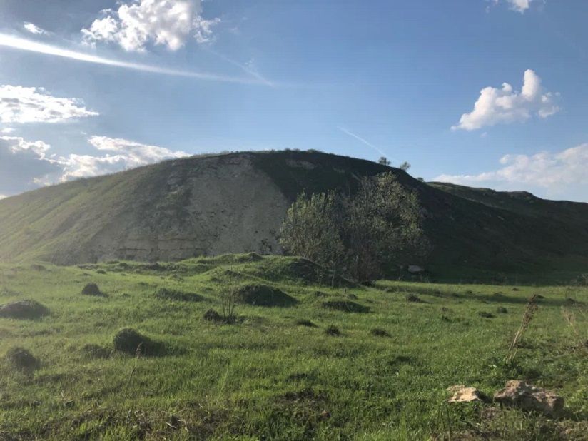 Белая гора