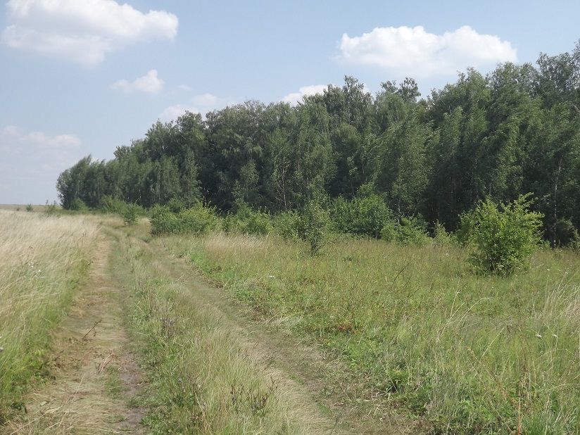 Водяное поле