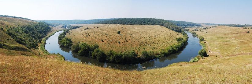 Ковыльная степь