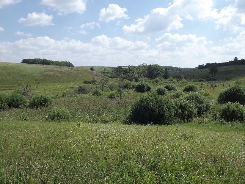 Средний Дубик